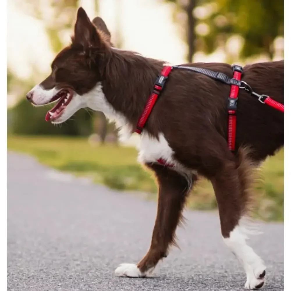 NEW Blue-9 Balance Harness Buckle-Neck Large Red Adjustable Dog Harness